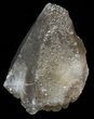 Dogtooth Calcite Crystal - Morocco #57370-1